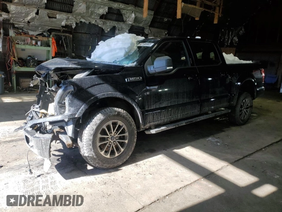 2019 Ford F-150 XL with VIN 1FTEW1E40KFC15335, listed as a Copart auction lot 47199965 with 0 mi miles and Salvage Title. Bid and sale history available at carsss.com. Image 1.