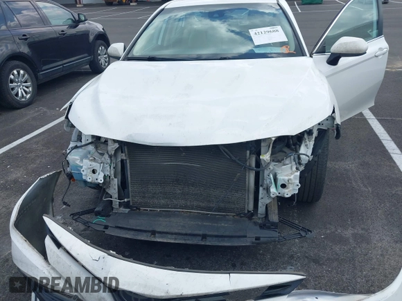 2019 Toyota Camry LE with VIN 4T1B11HK2KU743445, listed as a IAAI auction lot 42129688 with 284,938 mi miles and . Bid and sale history available at DreamBid. Image 6.