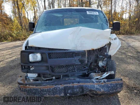 2010 Chevrolet Express Cargo with VIN 1GCZGFBA4A1125414, listed as a Copart auction lot 76663274 with Not provided miles and Salvage title. Bid and sale history available at DreamBid. Image 12.