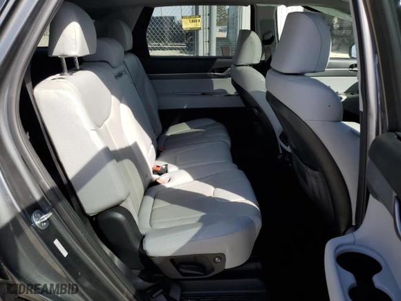 2020 Hyundai Palisade SEL with VIN KM8R4DHE8LU062211, listed as a Copart auction lot 49694245 with 55,160 mi miles and Salvage Title. Bid and sale history available at carsss.com. Image 11.