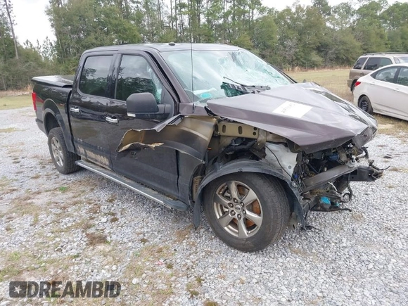 2018 Ford F-150 XL with VIN 1FTEW1C5XJFC69820, listed as a IAAI auction lot 41531952 with 1 mi miles. Bid and sale history available at carsss.com. Image 1.