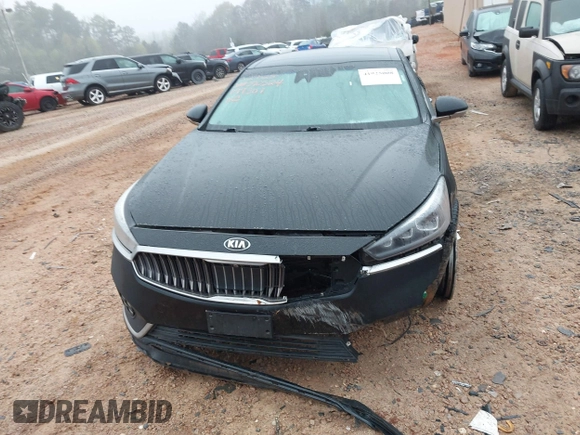 2018 Kia Cadenza Premium with VIN KNALC4J17J5099307, listed as a IAAI auction lot 41925008 with 118,474 mi miles. Bid and sale history available at carsss.com. Image 12.