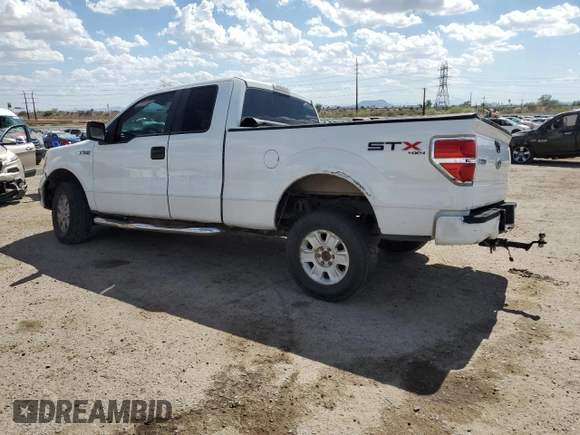 2010 Ford F-150 XL with VIN 1FTEX1EW4AKE08902, listed as a Copart auction lot 64699795 with 288,700 mi miles and Salvage title. Bid and sale history available at DreamBid. Image 2.
