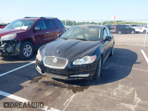 2010 Jaguar XF Premium Luxury with VIN SAJWA0GBXALR51936, listed as a IAAI auction lot 42832095 with Not provided miles and . Bid and sale history available at DreamBid. Image 2.