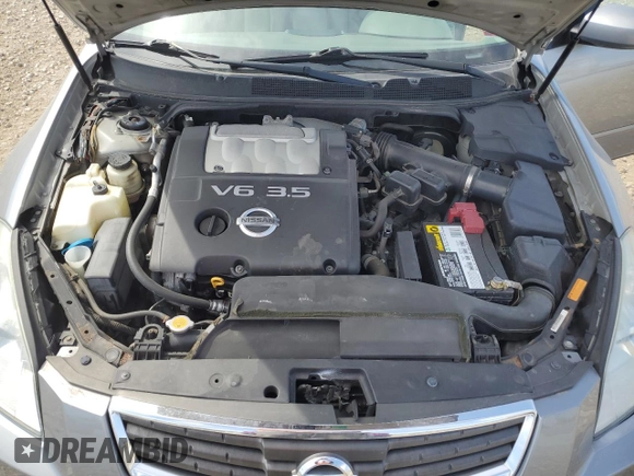 2007 Nissan Maxima 3.5 SE with VIN 1N4BA41E07C843749, listed as a Copart auction lot 49958744 with 0 mi miles and Salvage Title. Bid and sale history available at carsss.com. Image 11.