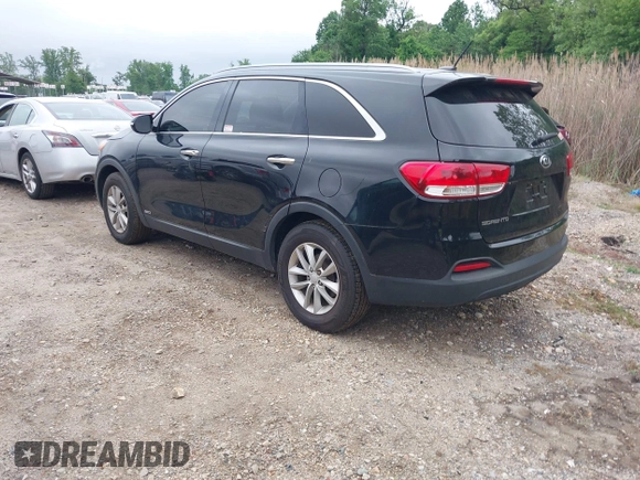 2016 Kia Sorento LX with VIN 5XYPGDA37GG148287, listed as a IAAI auction lot 42195971 with 92,974 mi miles and . Bid and sale history available at DreamBid. Image 3.