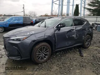 2024 Lexus NX with VIN 2T2AGCEZ4RC053310, listed as a Copart auction lot 81652604 with 10,328 mi miles and Salvage Title. Bid and sale history available at carsss.com. Image 1.