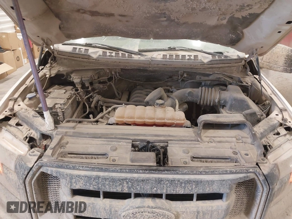 2017 Ford F-150 XL с VIN 1FTFW1EF6HKD95524, выставлен на аукционе IAAI как лот 41782825 с пробегом 78 958 миль миль и . История ставок и продаж доступна на DreamBid. Изображение 10.