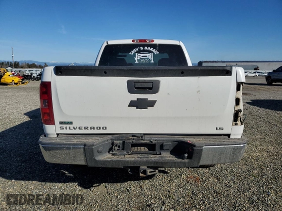 2010 Chevrolet Silverado 1500 LS with VIN 1GCSKREA5AZ245740, listed as a Copart auction lot 47038335 with 163,599 mi miles and Salvage Title. Bid and sale history available at DreamBid. Image 6.