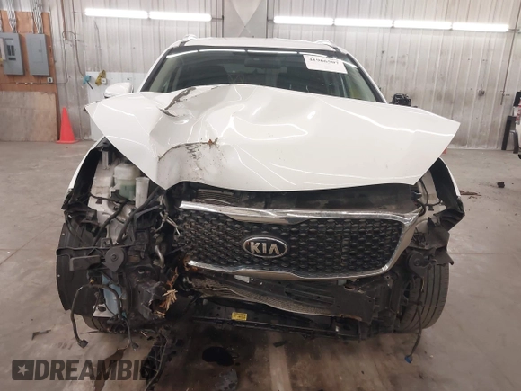 2017 Kia Sorento LX z VIN 5XYPGDA38HG281058, wystawiony jako IAAI lot #41966507 z przebiegiem 120 123 mil mil oraz . Historia ofert i sprzedaży dostępna na DreamBid. Obrazek 6.