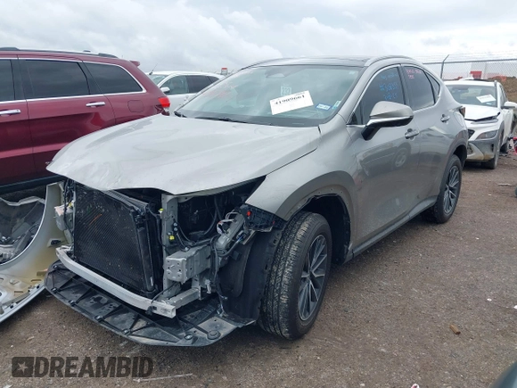 2025 Lexus NX 350 Luxury with VIN 2T2HGCEZ0SC068455, listed as a IAAI auction lot 41909661 with 11,533 mi miles and . Bid and sale history available at DreamBid. Image 17.