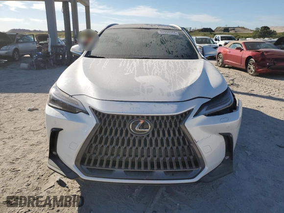 2025 Lexus NX 350h Luxury with VIN 2T2HKCEZ4SC038891, listed as a Copart auction lot 82850384 with 407 mi miles and Salvage title. Bid and sale history available at DreamBid. Image 5.