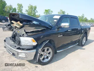 2009 Dodge 1500 SLT с VIN 1D3HV13T39S723883, выставлен на аукционе IAAI как лот 42357664 с пробегом 159 185 миль миль и . История ставок и продаж доступна на DreamBid. Изображение 18.