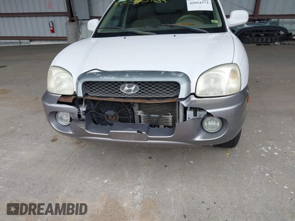 2004 Hyundai Santa Fe GLS with VIN KM8SC13D34U677767, listed as a IAAI auction lot 42054372 with 192,204 mi miles. Bid and sale history available at carsss.com. Image 6.