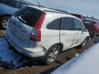 2010 Honda CR-V EX-L with VIN 5J6RE4H70AL032975, listed as a Copart auction lot 49387215 with 384,400 mi miles and Salvage Title. Bid and sale history available at carsss.com. Image 3.