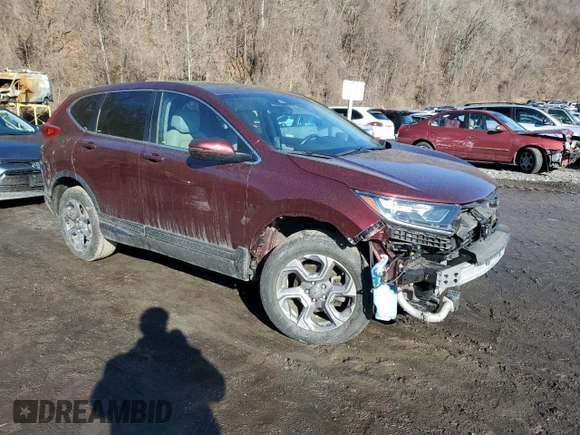 2019 Honda CR-V EX-L with VIN 7FARW2H89KE025788, listed as a Copart auction lot 46283485 with 49,012 mi miles and Salvage Title. Bid and sale history available at carsss.com. Image 4.