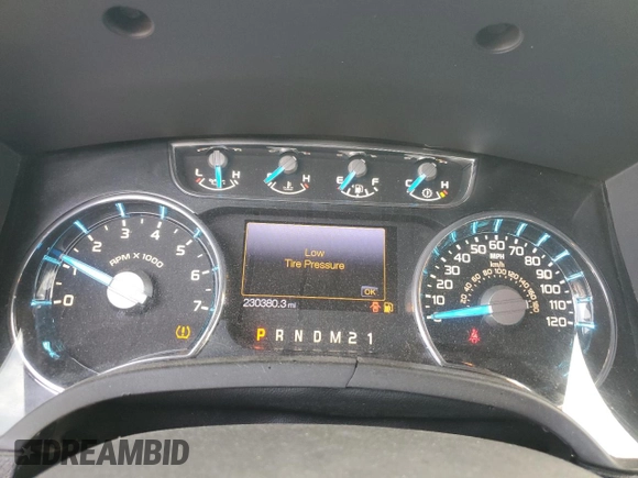 2013 Ford F-150 XL with VIN 1FTFW1ET0DKD05882, listed as a Copart auction lot 57662035 with 230,380 mi miles and Salvage title. Bid and sale history available at DreamBid. Image 9.