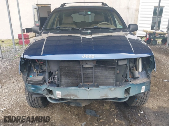 2000 Jeep Grand Cherokee Limited with VIN 1J4GW58S9YC347699, listed as a IAAI auction lot 42545373 with 118,566 mi miles and . Bid and sale history available at DreamBid. Image 13.