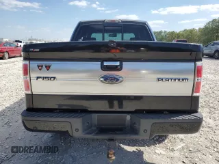 2009 Ford F-150 XL with VIN 1FTPW14V89FB31129, listed as a Copart auction lot 51804665 with 227,851 mi miles and Clean title. Bid and sale history available at DreamBid. Image 6.