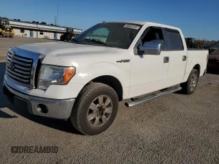 2011 Ford F-150 XL with VIN 1FTEW1CM1BFC62487, listed as a Copart auction lot 50692495 with 292,892 mi miles and Salvage title. Bid and sale history available at DreamBid. Image 1.