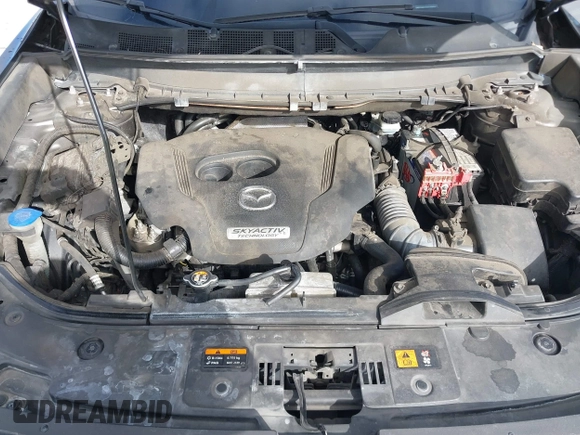 2017 Mazda CX-9 Grand Touring with VIN JM3TCADY7H0133092, listed as a IAAI auction lot 41133652 with 233,454 mi miles and . Bid and sale history available at DreamBid. Image 10.