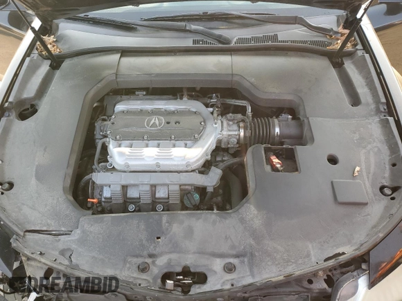 2009 Acura TL Technology z VIN 19UUA86509A005000, wystawiony jako Copart lot #59663305 z przebiegiem 165 984 mil mil oraz Szkoda całkowita • Salvage title. Historia ofert i sprzedaży dostępna na DreamBid. Obrazek 11.