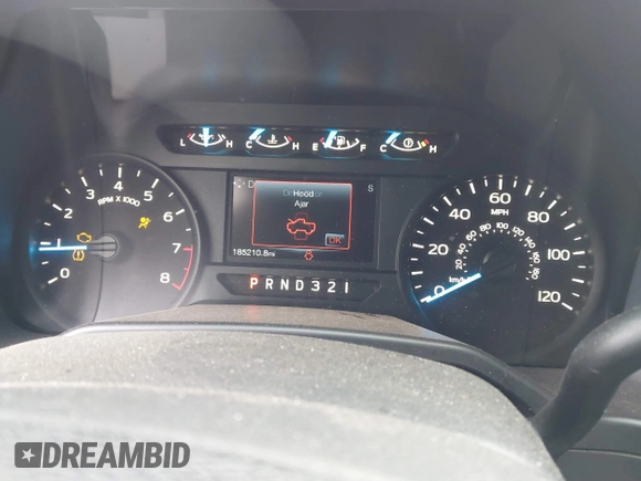 2016 Ford F-150 XL with VIN 1FTEX1C81GFA58201, listed as a IAAI auction lot 41304090 with 185,210 mi miles and . Bid and sale history available at carsss.com. Image 7.