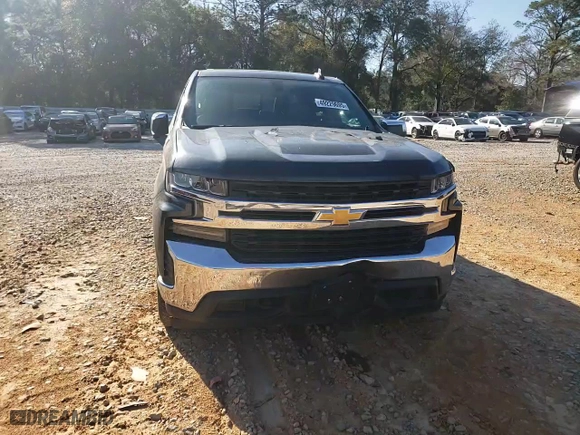 2019 Chevrolet Silverado 1500 LT with VIN 3GCUYDED9KG257296, listed as a Copart auction lot 49229695 with 0 mi miles and Salvage Title. Bid and sale history available at carsss.com. Image 11.