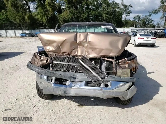 2000 Dodge Ram 1500 with VIN 1B7HC13Y4YJ124957, listed as a Copart auction lot 76333354 with 390,462 mi miles and Salvage Title. Bid and sale history available at carsss.com. Image 10.