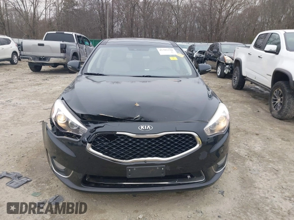2015 Kia Cadenza Premium with VIN KNALN4D70F5177461, listed as a IAAI auction lot 41382190 with 214,538 mi miles. Bid and sale history available at carsss.com. Image 12.