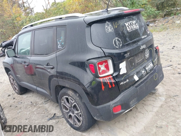 2017 Jeep Renegade Limited with VIN ZACCJBDB0HPE97445, listed as a IAAI auction lot 40727251 with 120,235 mi miles and . Bid and sale history available at DreamBid. Image 3.