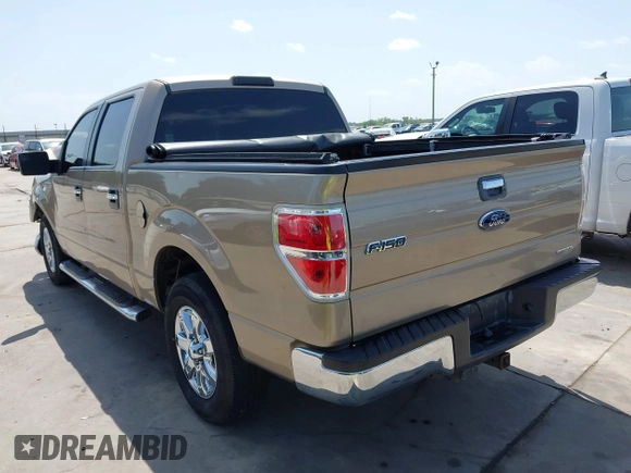 2013 Ford F-150 XL with VIN 1FTEW1CM1DKF70849, listed as a IAAI auction lot 42535866 with 213,674 mi miles and . Bid and sale history available at DreamBid. Image 3.