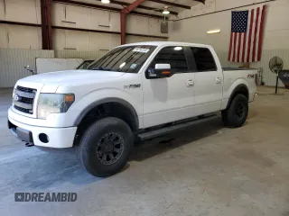2013 Ford F-150 XL with VIN 1FTFW1EFXDFB73409, listed as a Copart auction lot 48766194 with 146,478 mi miles and Salvage title. Bid and sale history available at DreamBid. Image 1.