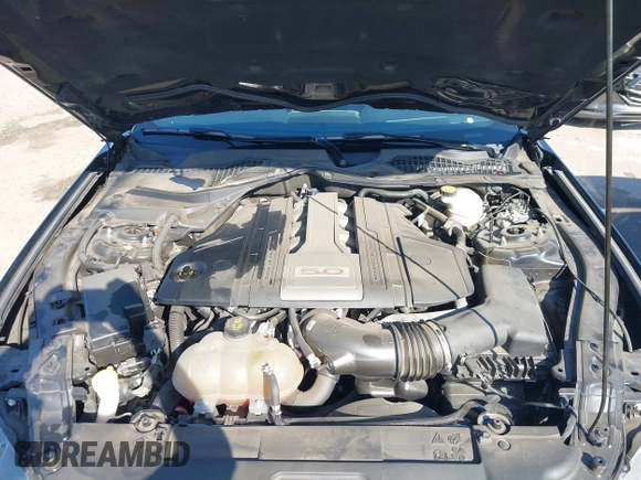 2019 Ford Mustang GT with VIN 1FA6P8CF5K5181483, listed as a IAAI auction lot 42012641 with 23,317 mi miles. Bid and sale history available at carsss.com. Image 10.