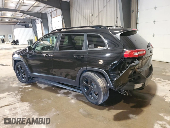 2017 Jeep Cherokee Limited with VIN 1C4PJMDS1HW625269, listed as a Copart auction lot 57131095 with 113,063 mi miles and Salvage title. Bid and sale history available at DreamBid. Image 2.