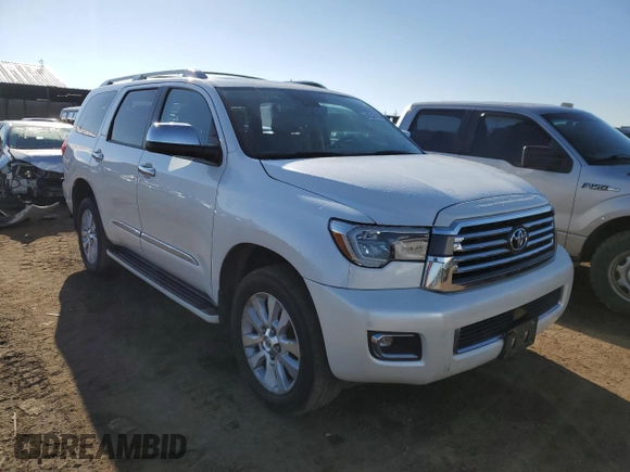 2018 Toyota Sequoia Platinum with VIN 5TDDY5G11JS158125, listed as a Copart auction lot 47347404 with 105,169 mi miles. Bid and sale history available at carsss.com. Image 4.