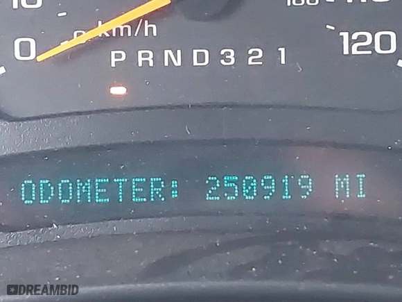 2006 Chevrolet Silverado 1500 LS with VIN 2GCEK13VX61224130, listed as a IAAI auction lot 41495787 with 250,919 mi miles. Bid and sale history available at carsss.com. Image 15.