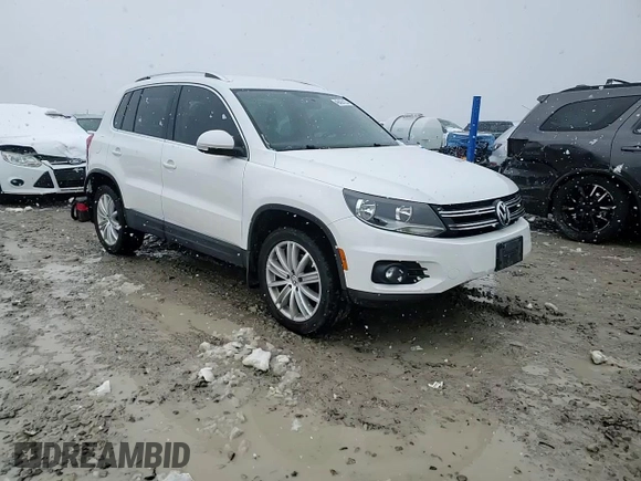 2013 Volkswagen Tiguan SEL with VIN WVGBV3AX6DW610541, listed as a Copart auction lot 49435125 with 73,952 mi miles and Salvage Title. Bid and sale history available at DreamBid. Image 13.