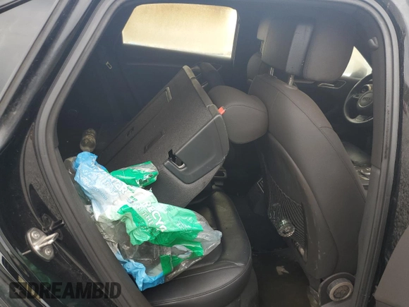 2016 Audi A3 Premium with VIN WAUB8GFF9G1113064, listed as a Copart auction lot 54596825 with Not Provided miles and Salvage Title. Bid and sale history available at DreamBid. Image 10.