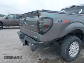 2011 Ford F-150 XL with VIN 1FTEX1CM1BFC49915, listed as a IAAI auction lot 39541134 with 176,854 mi miles and . Bid and sale history available at DreamBid. Image 6.