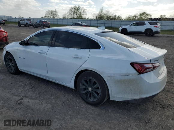 2019 Chevrolet Malibu LT with VIN 1G1ZD5ST0KF144768, listed as a Copart auction lot 49337575 with 126,554 mi miles and Salvage Title. Bid and sale history available at DreamBid. Image 2.
