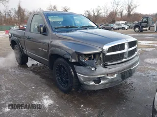2002 Dodge 1500 z VIN 1D7HA16N62J245073, wystawiony jako IAAI lot #41253743 z przebiegiem 117 175 mil mil oraz . Historia ofert i sprzedaży dostępna na DreamBid. Obrazek 1.