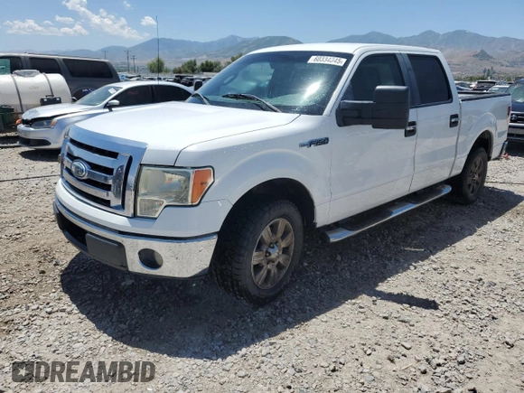 2009 Ford F-150 XL z VIN 1FTPW12V49KC61077, wystawiony jako Copart lot #60334045 z przebiegiem 135 014 mil mil oraz Szkoda całkowita • Salvage title. Historia ofert i sprzedaży dostępna na DreamBid. Obrazek 1.