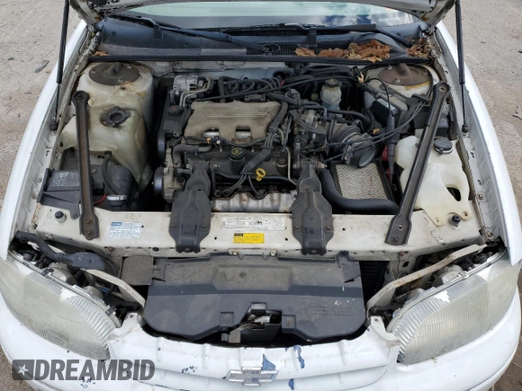 1999 Chevrolet Lumina with VIN 2G1WL52MXX1107255, listed as a Copart auction lot 76585174 with 153,962 mi miles and Salvage Title. Bid and sale history available at DreamBid. Image 11.