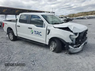 2023 Ford F-150 XL с VIN 1FTEW1EP8PFA03624, выставлен на аукционе Copart как лот 49273815 с пробегом 35 218 миль миль и Списание • Salvage title. История ставок и продаж доступна на DreamBid. Изображение 4.
