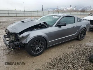 2007 Ford Mustang GT Deluxe with VIN 1ZVFT82H875274785, listed as a Copart auction lot 45746645 with Not provided miles and Salvage title. Bid and sale history available at DreamBid. Image 1.