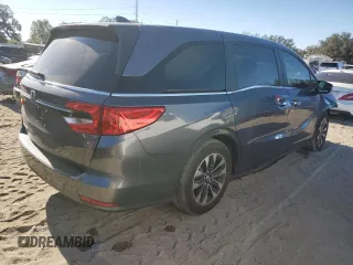 2024 Honda Odyssey EX-L with VIN 5FNRL6H69RB069598, listed as a Copart auction lot 81798314 with Not Provided miles and Salvage Title. Bid and sale history available at DreamBid. Image 3.