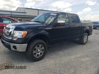 2009 Ford F-150 XL z VIN 1FTPW14V09FB25728, wystawiony jako Copart lot #61993255 z przebiegiem 342 183 mil mil oraz Szkoda całkowita • Salvage title. Historia ofert i sprzedaży dostępna na DreamBid. Obrazek 1.
