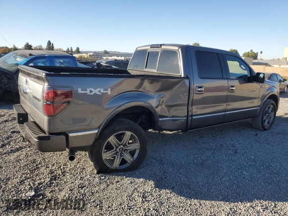 2009 Ford F-150 XL with VIN 1FTPW14V39FB05831, listed as a Copart auction lot 85943924 with 133,893 mi miles and Salvage title. Bid and sale history available at DreamBid. Image 3.