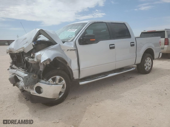 2013 Ford F-150 XL with VIN 1FTEW1CM1DKD06918, listed as a Copart auction lot 53304535 with 123,443 mi miles and Salvage Title. Bid and sale history available at carsss.com. Image 1.